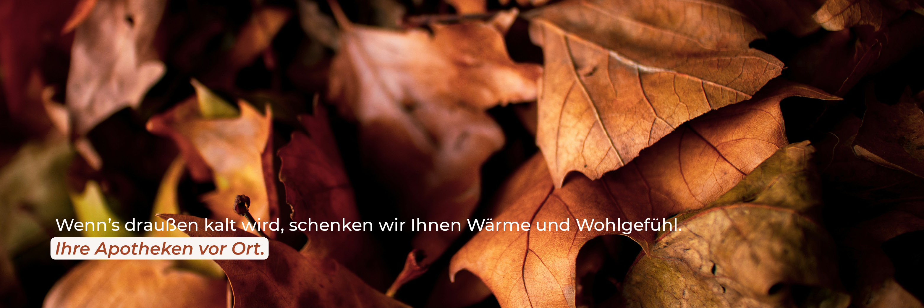 Bilder von herbstlichem Laub